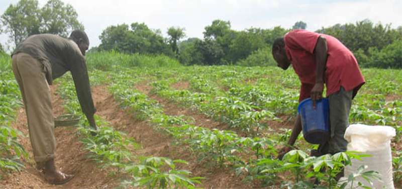 Middle East fertilizer shock for African farmers